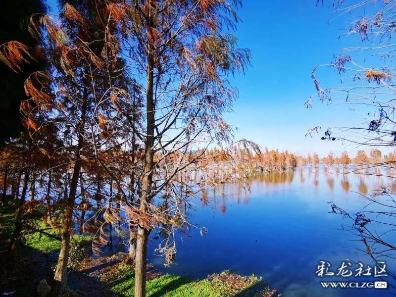 深入了解什么叫见人说人话,见鬼说鬼话呢??知识星球,开启知识之旅